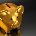 découvrez nos solutions pour choisir la banque qui correspond le mieux à vos besoins financiers et profitez d'une gestion simplifiée de votre argent.