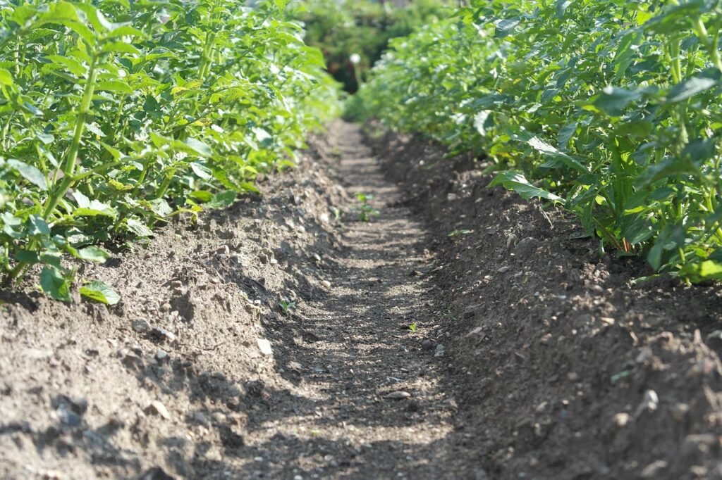 service payant entre particuliers : facilitez vos transactions sécurisées et rapides directement entre utilisateurs.