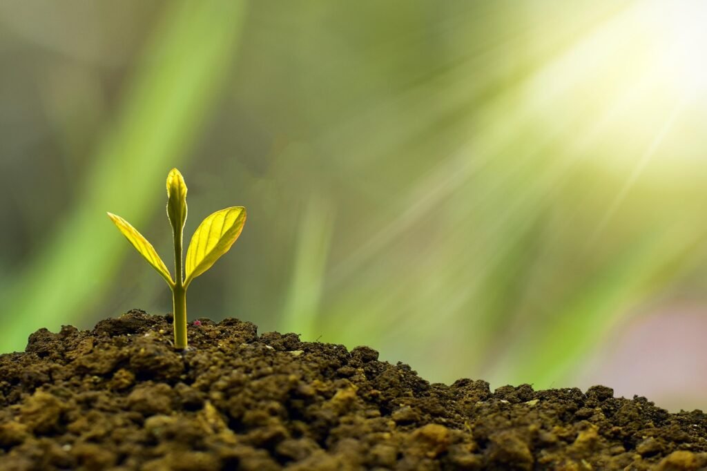 découvrez les aides financières disponibles pour la création d'entreprise et facilitez le lancement de votre projet entrepreneurial.