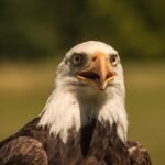 Comment réussir votre transformation de SAS en SARL en évitant les pièges courants ?